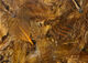 Preview image of product Premium Hungarian Partridge Feathers #40 Brown